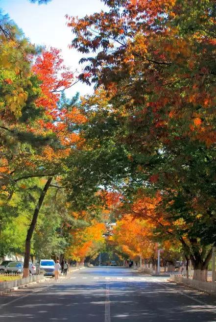 辽宁有美丽的小镇,辽宁有个小城市