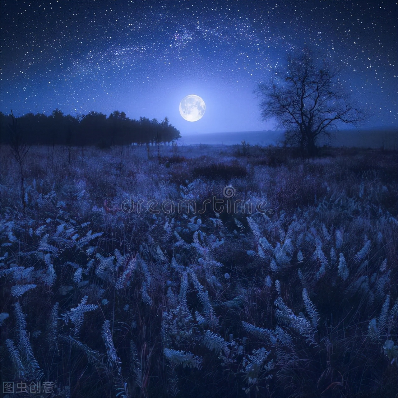 音乐鉴赏之梅艳芳、张学友《相爱很难》：不舍，不得，不想太夜深