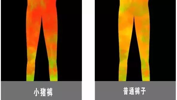 燃脂暴瘦裤,光速瘦腿燃脂小猪裤