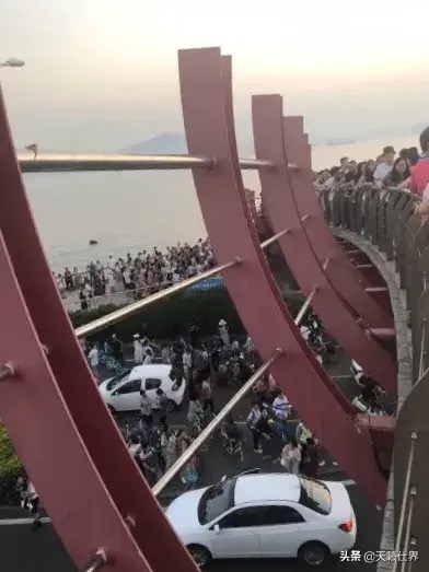 园博苑旅游攻略,厦门园博苑旅游攻略