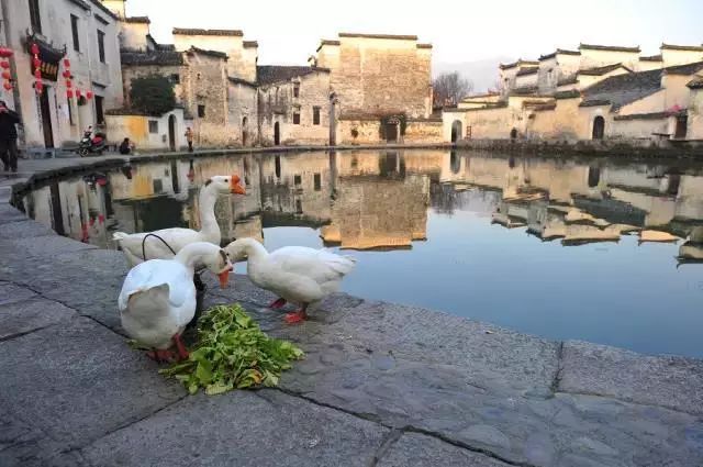 中国十大古村庄,中国最值得去的十个古村落
