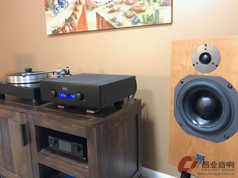 丹拿怎么才能玩好,丹拿玩被动还是主动好