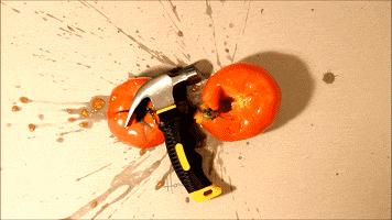 美术生！你们画画就好好画，干嘛还骗人！