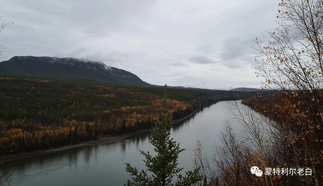 跟着老白行走加拿大，育空Watson Lake、BC省Northern Rockies