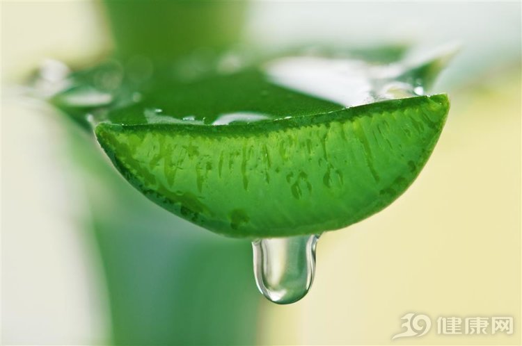 家有芦荟好不好,家有芦荟