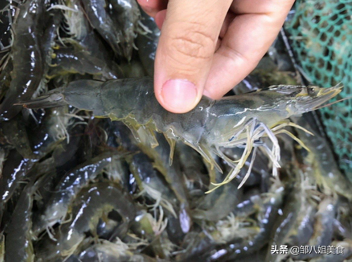 买大虾怎么挑选小技巧图片,大虾怎么挑选挑大的还是小的