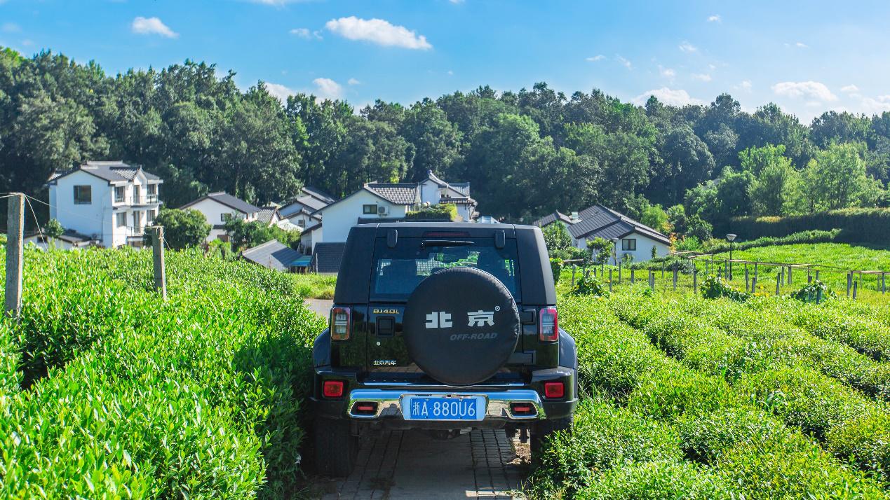 清明小长假踏青游玩好去处,清明小长假近郊踏青受追捧