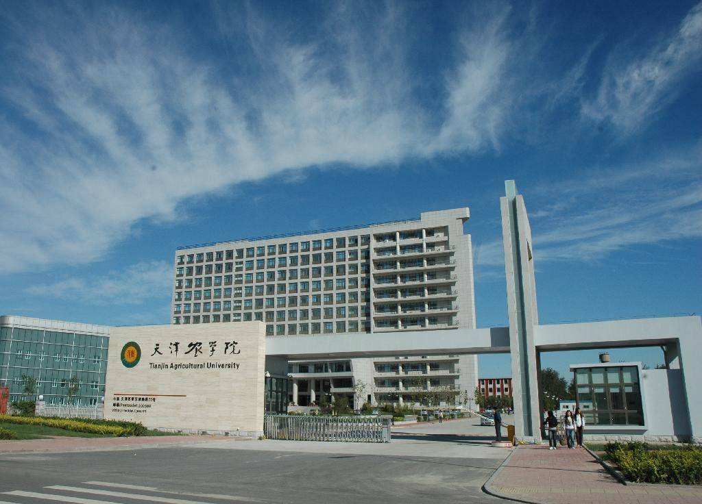 天津大学的外号是什么,天津大学简称为什么不叫津大