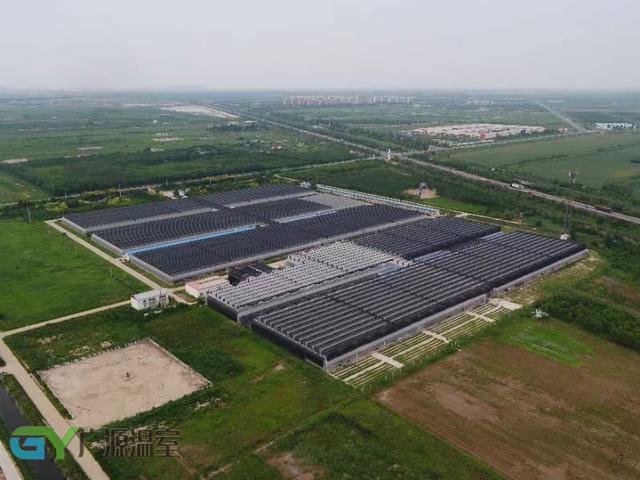 简易薄膜连栋温室大棚建造全过程,连栋薄膜连体温室大棚大全