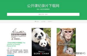 风景视频素材高清无水印网站,抖音视频素材无水印免费网站