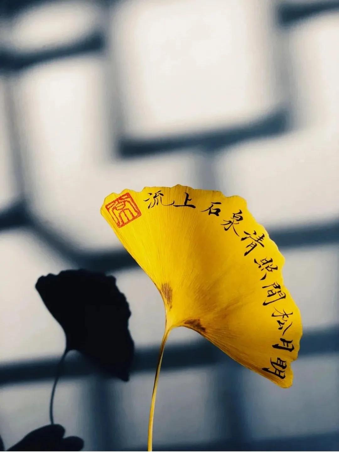 银杏叶咋做玫瑰花,银杏叶怎么做玫瑰花