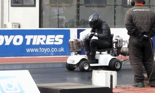 出门遇到这“街头流氓”,我劝你快逃