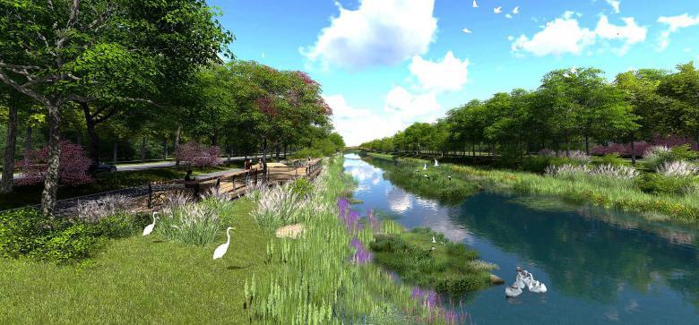 我的长江,长江我的家完整版