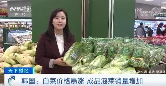韩国白菜价格暴涨70%，无菜可腌让韩国主妇发愁｜欧界