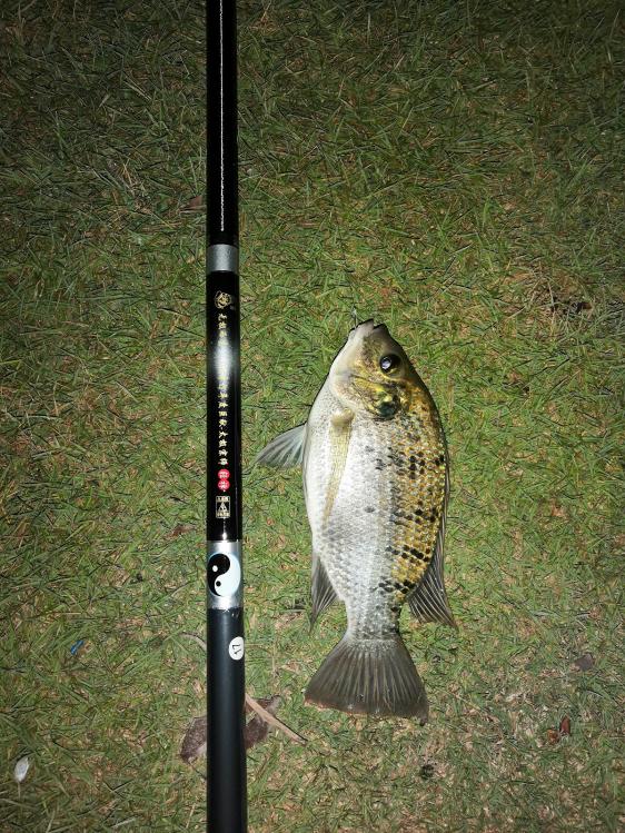 新手选鱼竿怎么选,新手怎么选鱼竿最合适