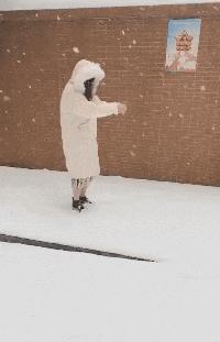 爆笑gif为了我的八块腹肌拼了,成年人幽默搞笑gif图片带字