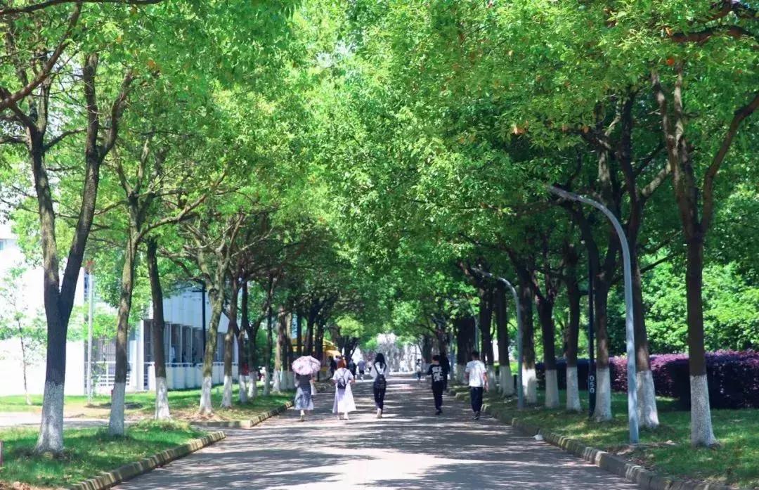 苏州大学文正学院专转本2020,苏州大学文正学院专转本人力资源