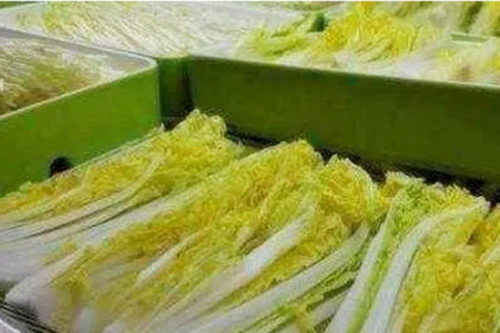 吃甲醛泡过的菜对人有多大伤害,如何测试蔬菜是否用甲醛泡过