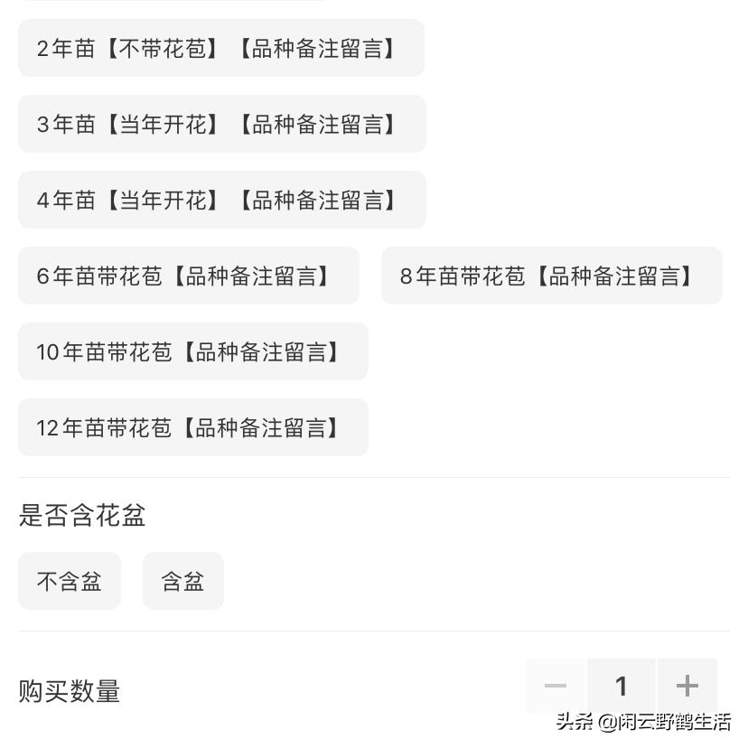 拒绝“宿迁大学”，如何避免买到假货。网购花卉的5注意及4建议