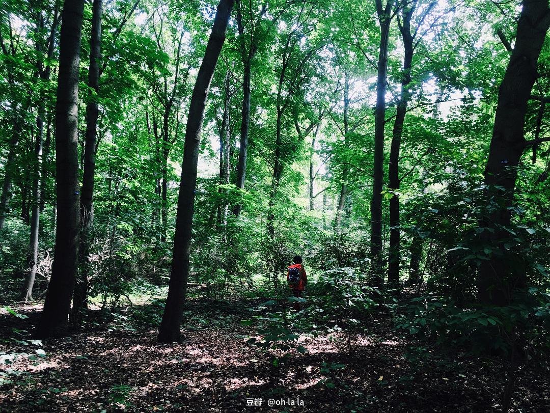 柏林一座不可思议的城市，带父母感受柏林过去与现在