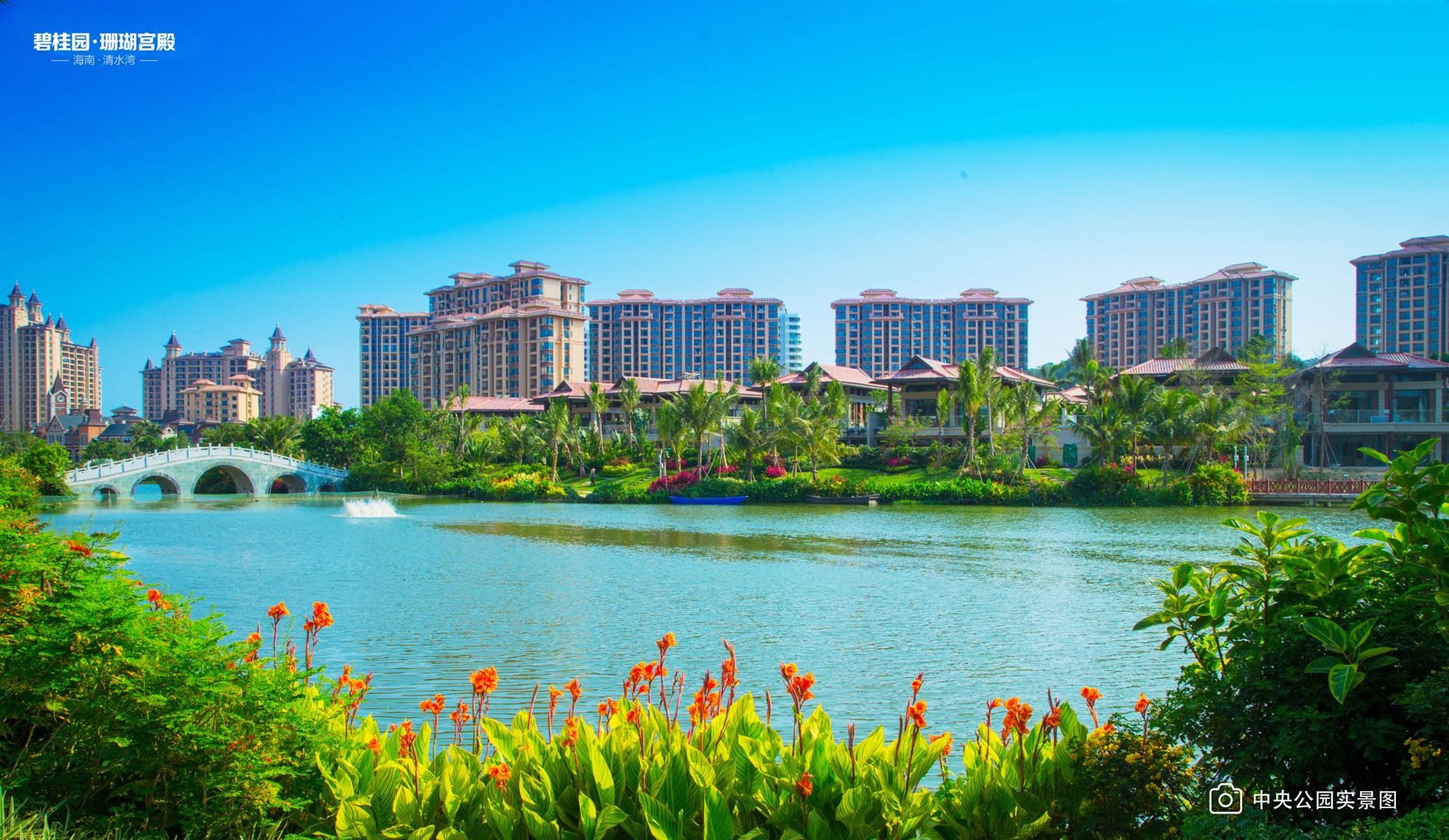 清水湾碧桂园珊瑚宫殿二手房,清水湾碧桂园珊瑚宫殿别墅