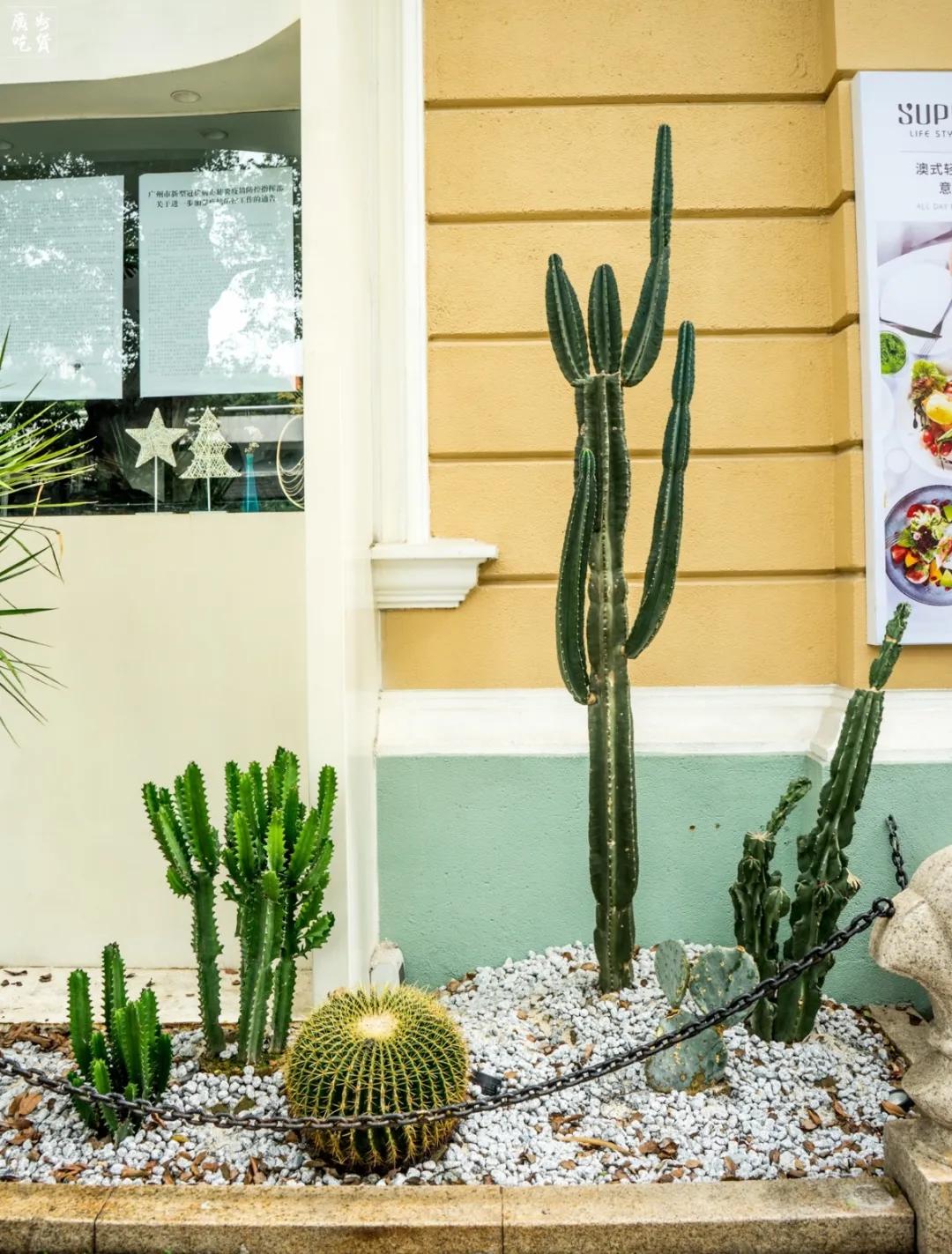 疫情第60天，被麦当劳重新带火的沙面，现在怎么样了？