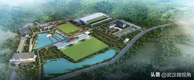 2019武汉军运会军事五项,武汉军运会军事五项视频