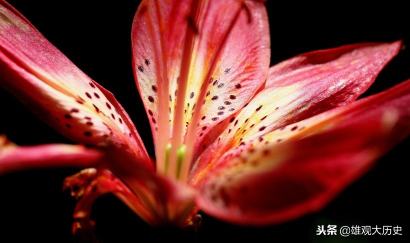 牛啊，写诗也能骂人，这十首讽刺意味的诗歌，第六首发人深省