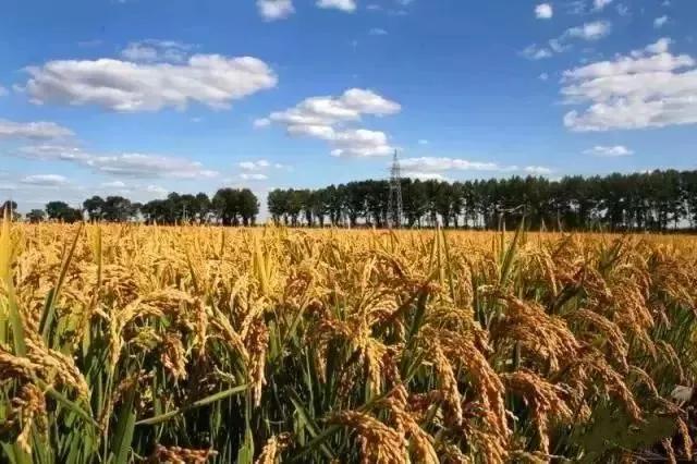 大连庄河这个城市怎么样,大连庄河前景如何