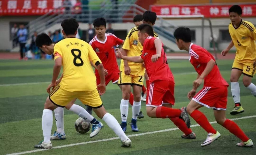 足球扩招,高水平运动队招生转专业