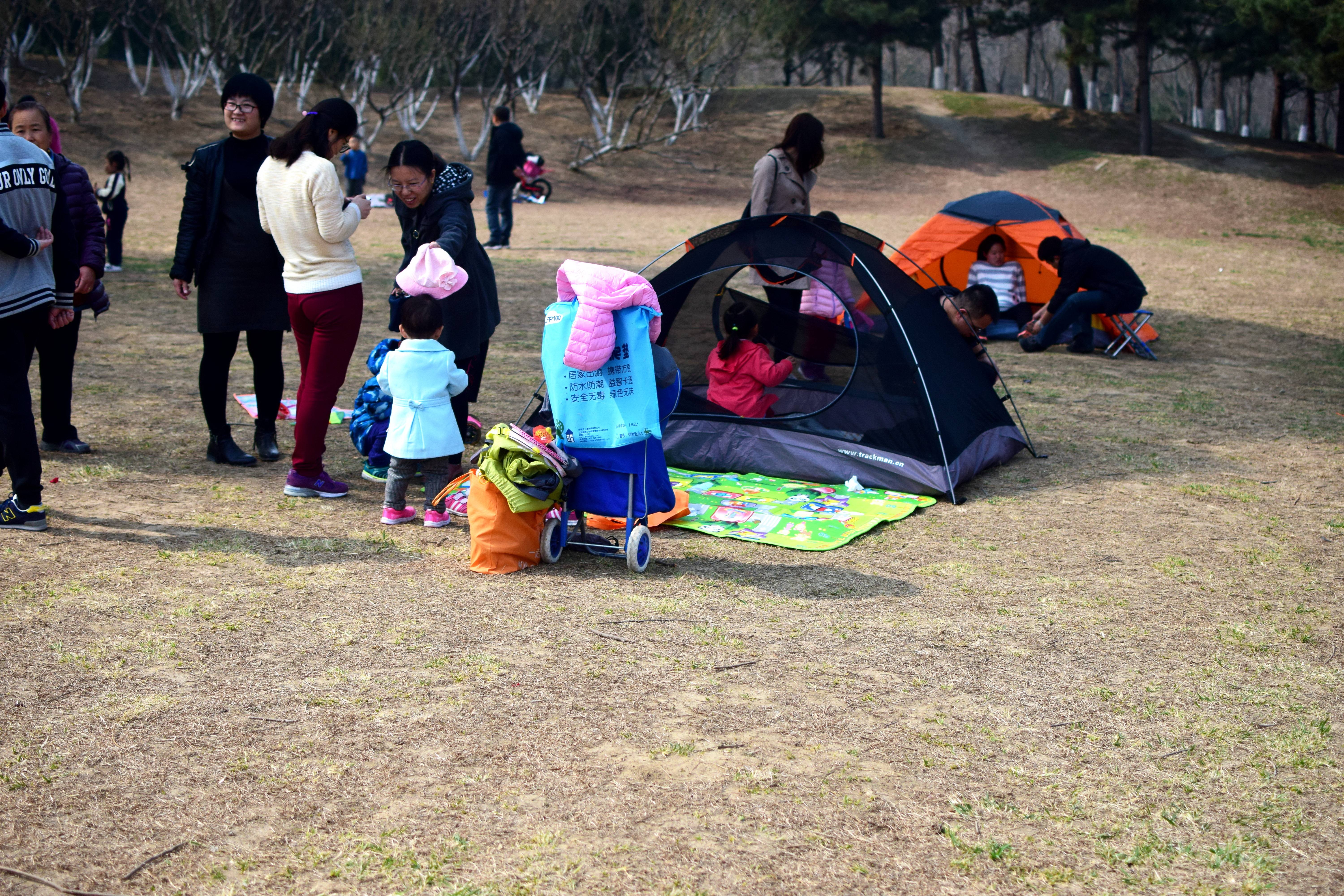 北京奥森让搭帐篷吗,奥森公园禁止营业吗