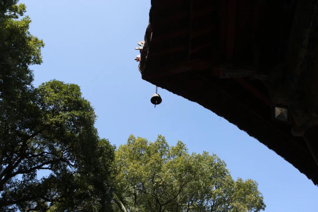 学佛时就有倒霉的事,学佛后运气差可以放弃吗