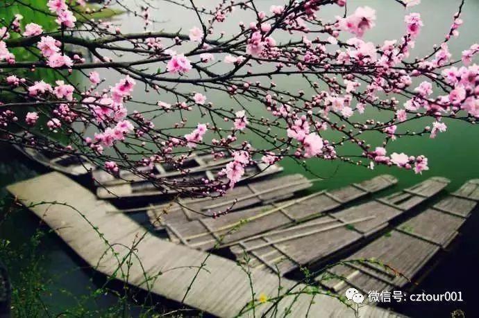 常州周末适合去哪里踏青,清明农庄亲子游攻略