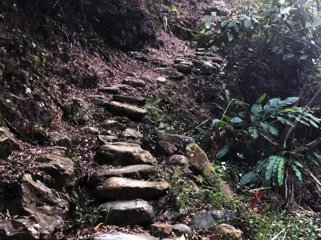 越过山丘才发现它如此优秀,越过山丘发现一无所有