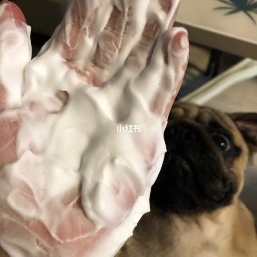 欧舒丹蜡菊亮肤洁面泡沫怎么样,欧舒丹蜡菊活颜洁面泡沫怎么样