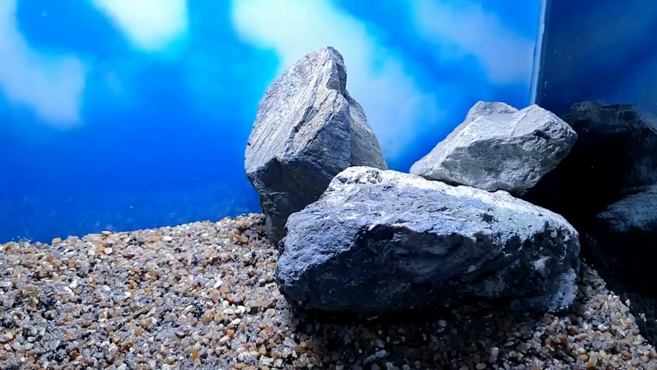 石头观赏鱼缸建造图,4块石头造景20缸