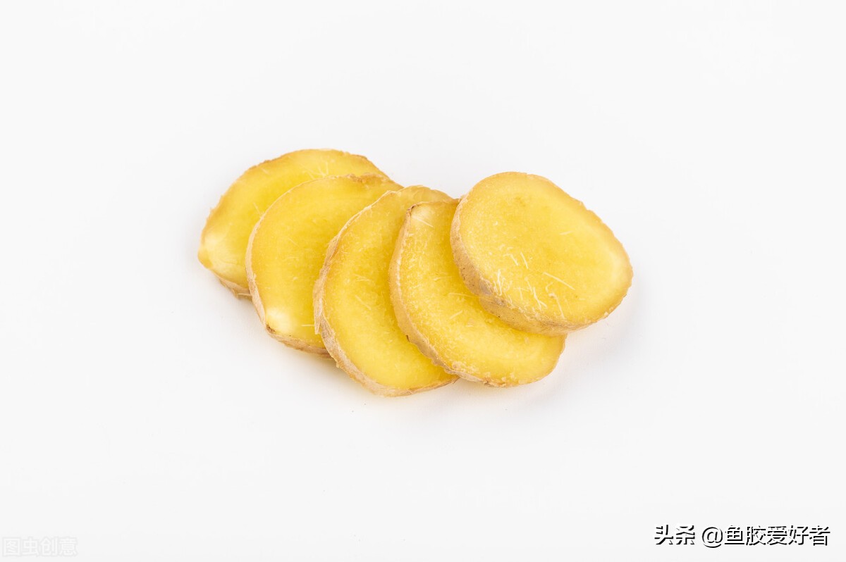 鱼胶正确的泡发方法和做法,顺德鲮鱼鱼胶的做法视频