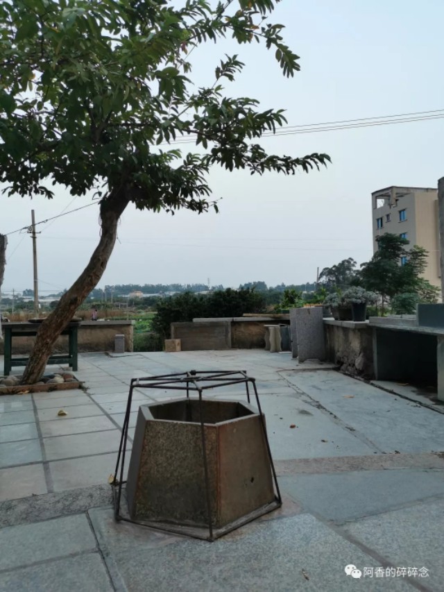 东园往事2018,东园往事全集