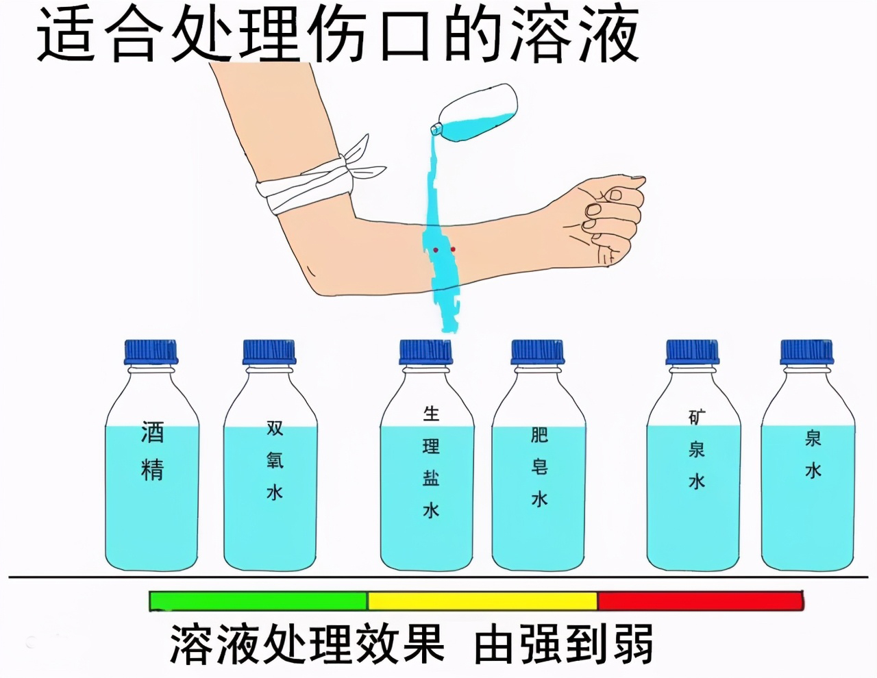 罕见毒蛇双头蛇,中国境内毒蛇双头蛇