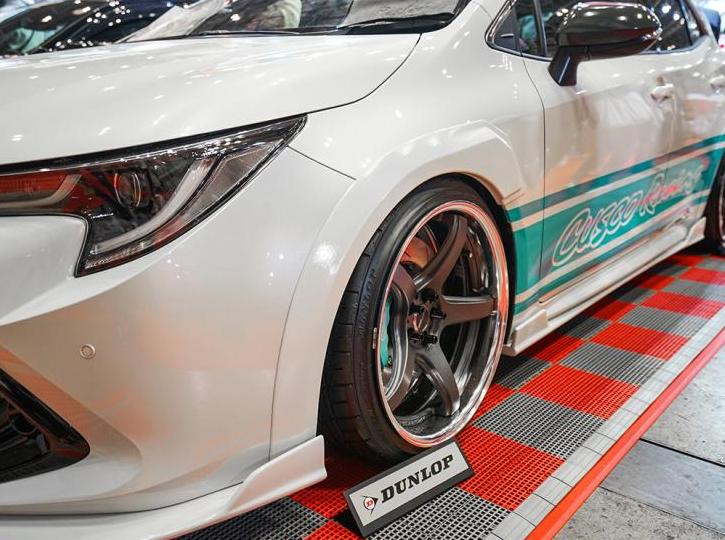 日本男子花两万块将自己改造成狗,日本丰田卡罗拉改装图片