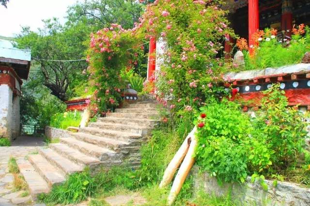 巴松措最近期攻略,巴松措可以开进去吗