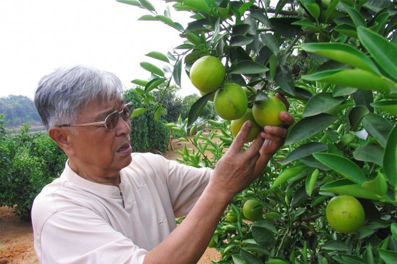 陷入低谷期怎么走出来,陷入低谷应该如何自救