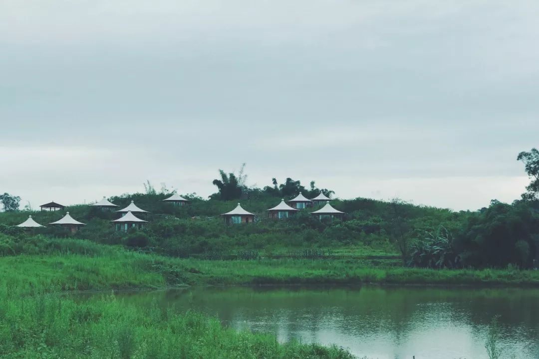 田园风光稻田帐篷,稻田星空露营基地