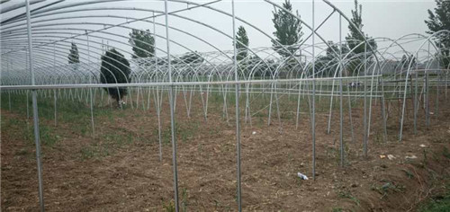 恩情难相忘将爱永流传——焦作一位贫困户的真情“告白”