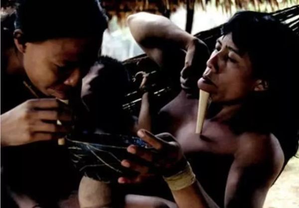 神秘的原始部落下巴插木棍,下巴插木棍的原始部落