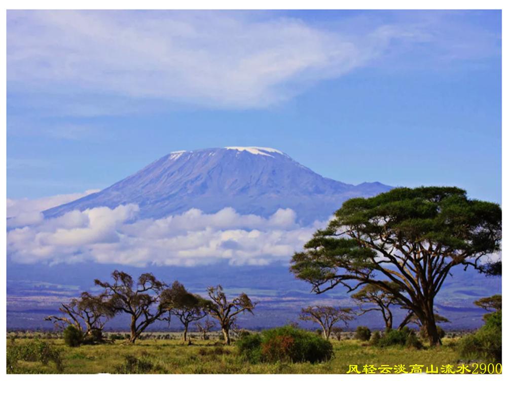 中国红茶肯尼亚红茶,肯尼亚红茶优势