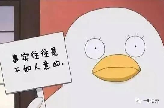 上海小升初对成绩有要求吗,2022上海幼升小如何报志愿