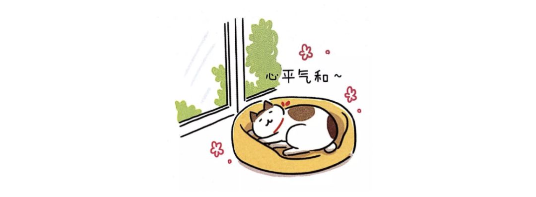 猫咪绝育后性格会改变吗,猫咪什么时候做绝育最好