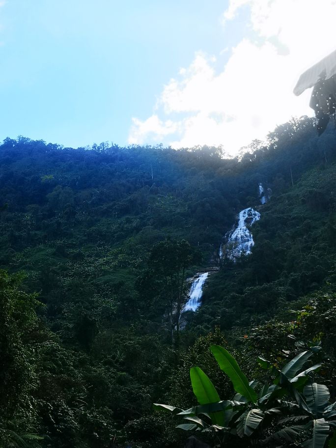 海南琼中橙多少钱一斤,海南琼中橙橙农场