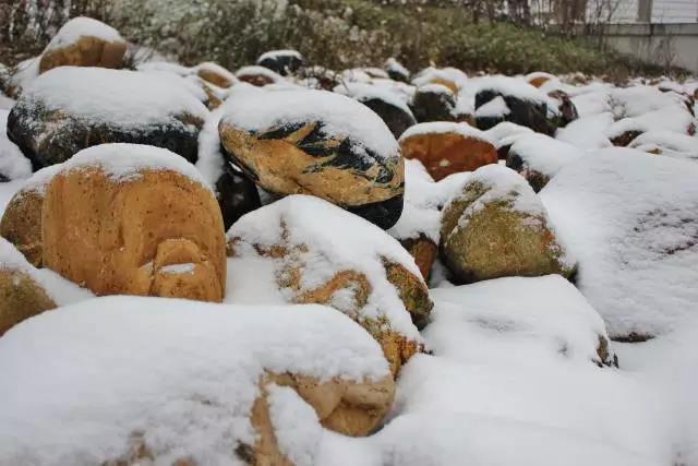东南大学最美校花,全国公认大学最美校花